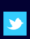 Twitter Logo